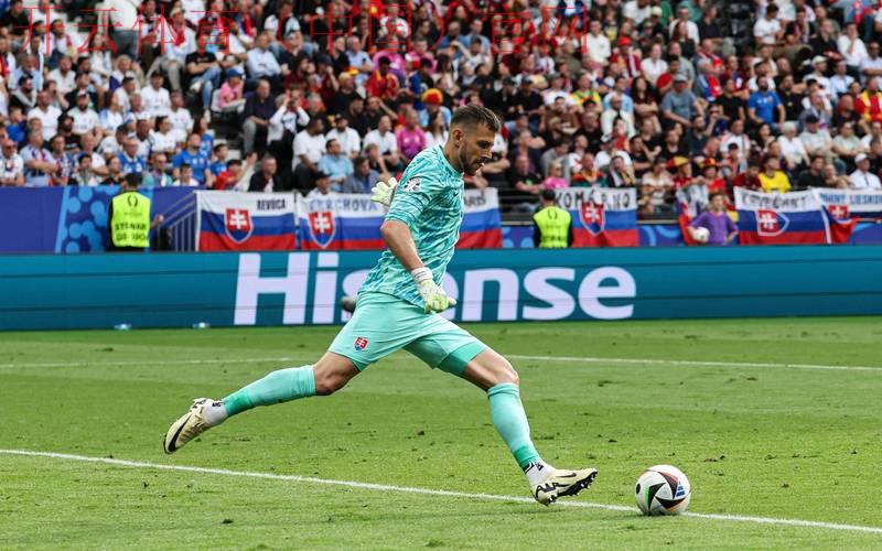 欧洲杯新皇冠体育, 探索新皇冠体育平台上的欧洲杯最佳投注选择和技巧